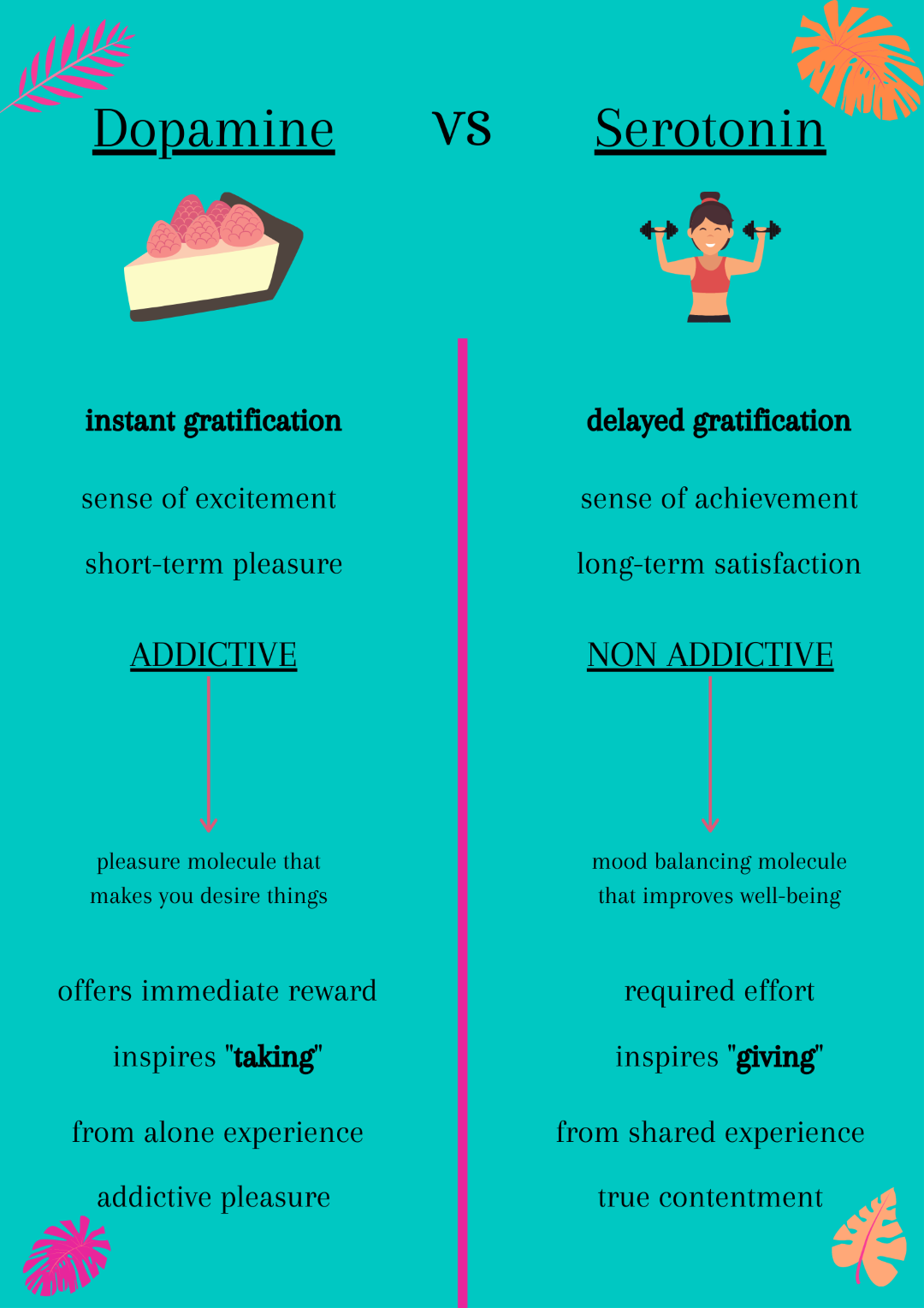 dopamine vs seroton