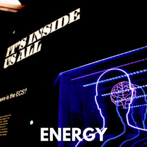 What if your reality isn’t random — but a direct reflection of your energetic identity? This article explores how your frequency shapes your experiences and how to consciously align with the life you desire using quantum principles and Neville Goddard’s teachings.