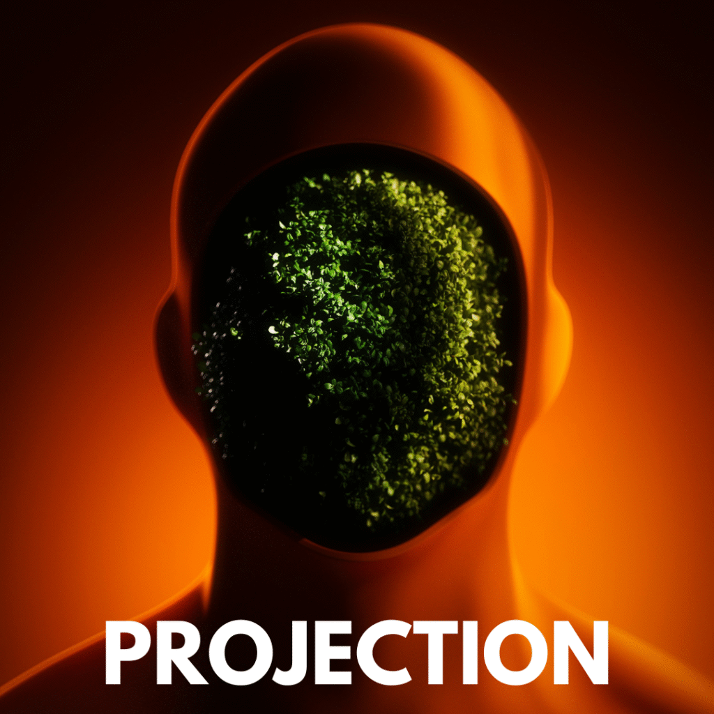 Transcend mental reality and collapse projections through identity alchemy. Learn how conscious manifestation works when reality mirrors your inner authority.